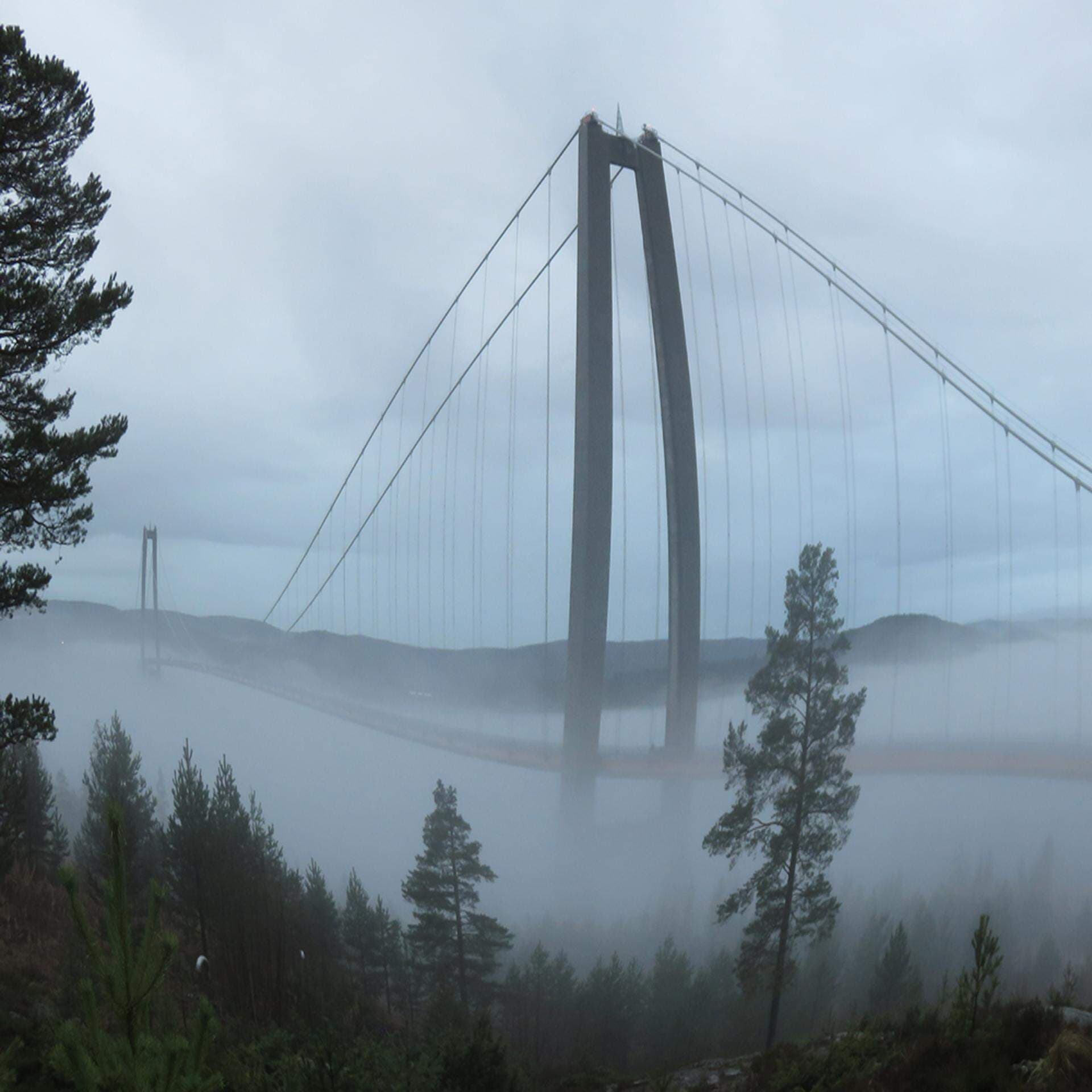 Höga kusten-bron.jpg