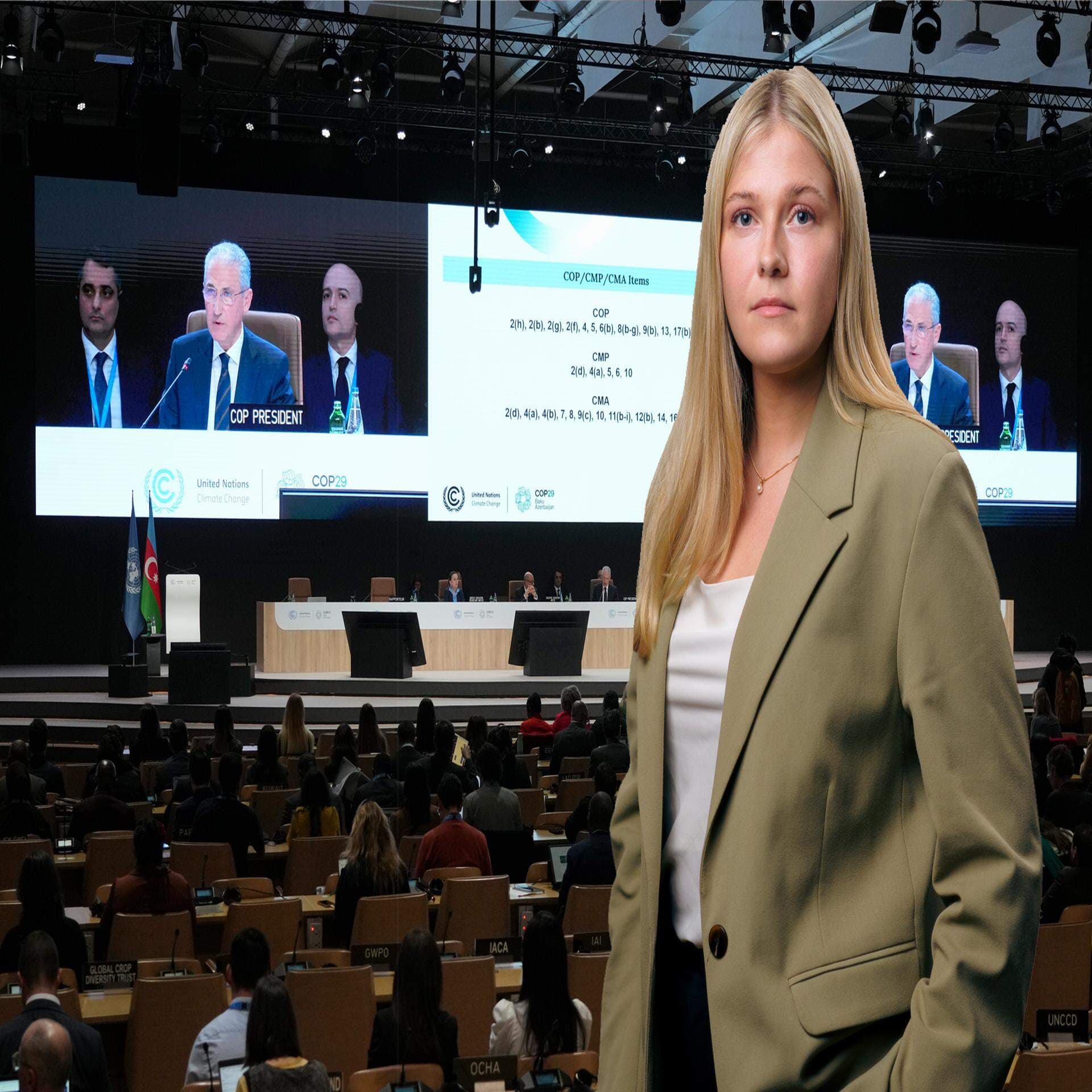 Madeleine Svenberg, expert på klimatpolicy.