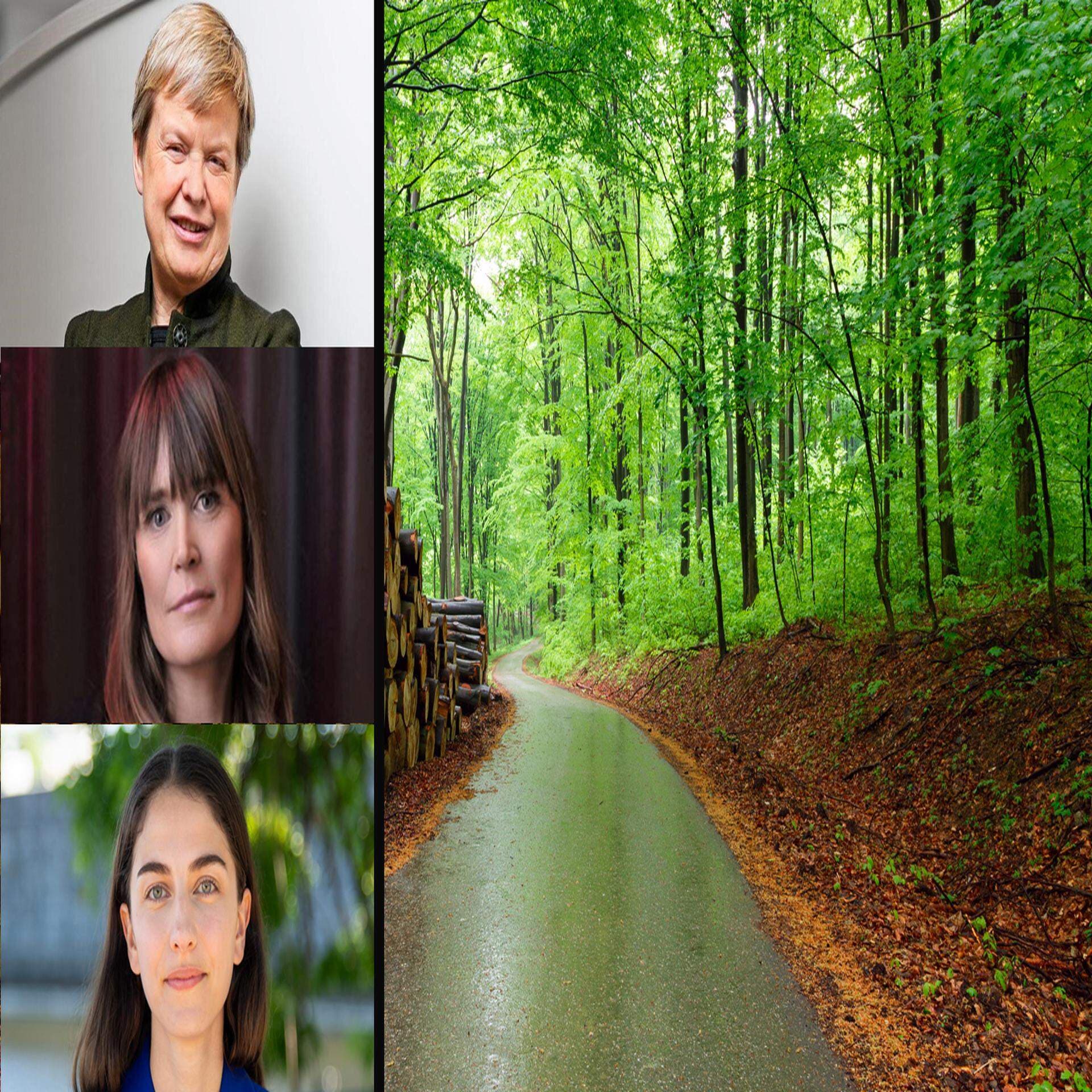 Åsa Domeij, hållbarhetschef på Axfood, Elin Larsson, näringslivschef på miljöorganisationen WWF och klimatminister Romina Pourmokhtari (L).