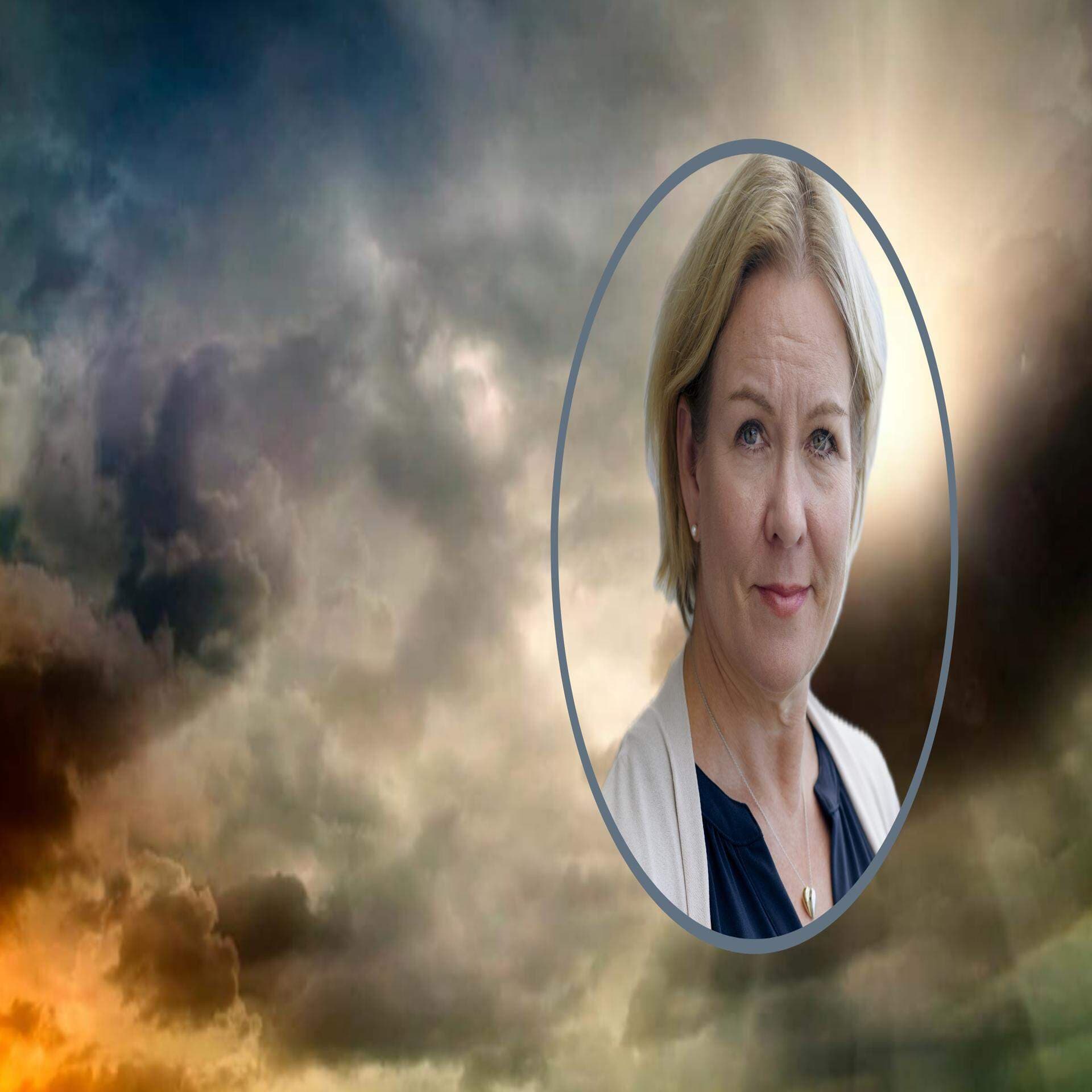 Anna Hedensjö Johansson, SME-expert.